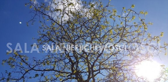 działka na sprzedaż 951m2 działka Nowy Jasiniec