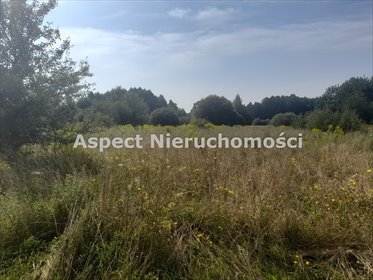 działka na sprzedaż 600m2 działka Wasilków, Dąbrówki