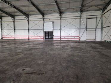 Hala produkcyjno-magazynowa 4500 m² z dokami i biurami lokal użytkowy białobrzeski