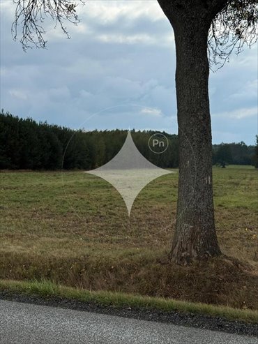 działka na sprzedaż 8600m2 działka Bronów