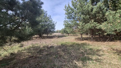 działka na sprzedaż 1000m2 działka Dobiesz, Dobiesz