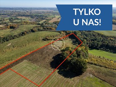 działka na sprzedaż 22000m2 działka Topolno