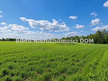 Sprzedam działkę 9 365 m² w Cielętnikach z MPZP na zabudowę domową działka Cielętniki
