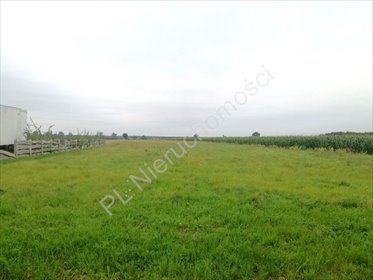 działka na sprzedaż 12400m2 działka Pniowe