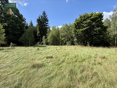 Działka 15 ha z siedliskiem i lasem w Stołbce - polecam! działka Stołbce