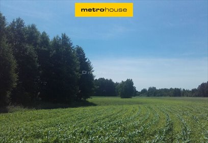 działka na sprzedaż 1520m2 działka Świerkowo