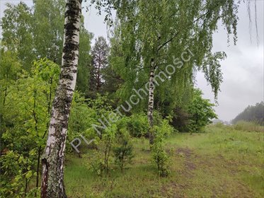 Polecam działkę 1243 m² z projektem domu dwulokalowego działka Wycinki Osowskie