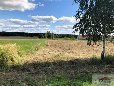 Działka rolna na sprzedaż Kowalówka 2 800m2 Foto 5