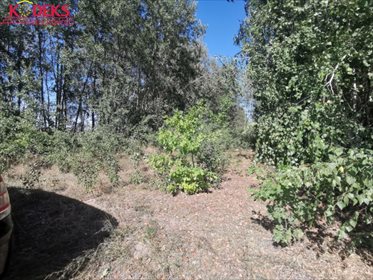 Działka rolna na sprzedaż Stare Płudy 15 400m2 Foto 1