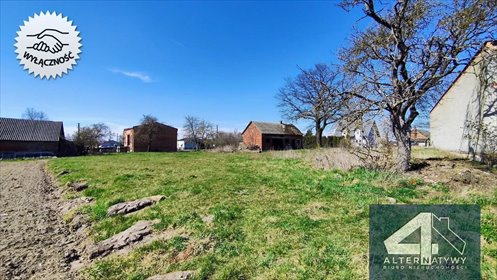 Działka 9 700 m² z kontraktem budowlanym w Zaborowie działka Zaborów, Zaborów