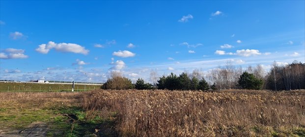 działka na sprzedaż 3801m2 działka Emów