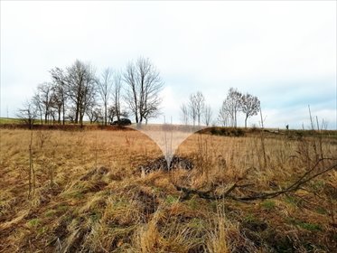 działka na sprzedaż 3950m2 działka Sulisławice