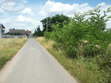Działka budowlana na sprzedaż Podbolesławiec 3 660m2 Foto 3
