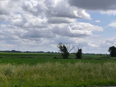 Działka przemysłowa 10 000 m² pod inwestycję w Buk działka Buk, Buk działka przemysłowa