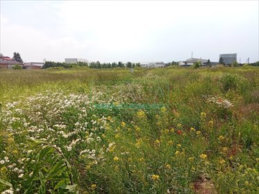 działka na sprzedaż 1365m2 działka Radonice