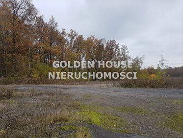 Działka inwestycyjna pod dzierżawę Będzin 50 000m2 Foto 1