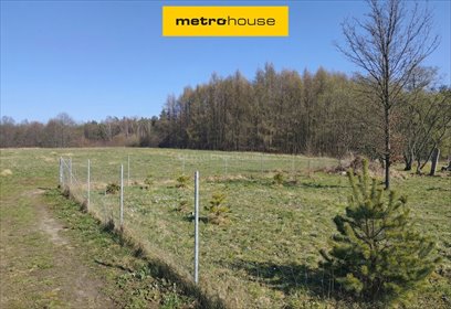 Działka rolna z możliwością zabudowy (2655 m²) w Chruszczobród działka Chruszczobród, Cmentarna