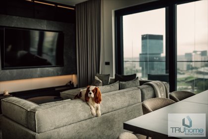 mieszkanie na sprzedaż 97m2 mieszkanie Katowice, Śródmieście, Góreckiego