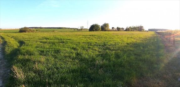 działka na sprzedaż 17000m2 działka Pniewy, Podpniewki