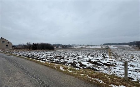 Duża działka z planem podziału, media, asfalt (3600 m²) działka Wieszowa, Jagodowa