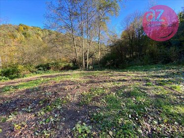 działka na sprzedaż 3000m2 działka Lipie