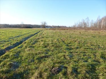Działka rolna na sprzedaż Wielogóra, Kwiatowa 2 600m2 Foto 5