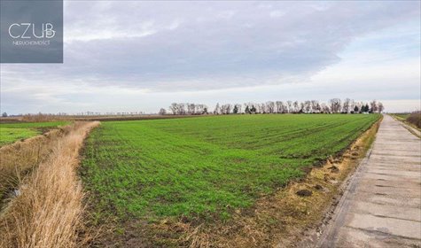 Działka usługowo-magazynowa 11 758 m² z podziałem działka Jeziory Małe