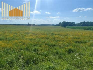 Działka rolna 2,47 ha w Dobre – uprawiana, szer. 59 m działka Dobre
