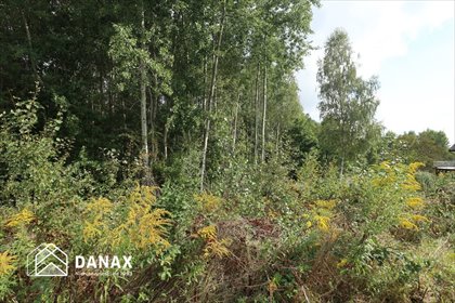 działka na sprzedaż 1300m2 działka Włosań