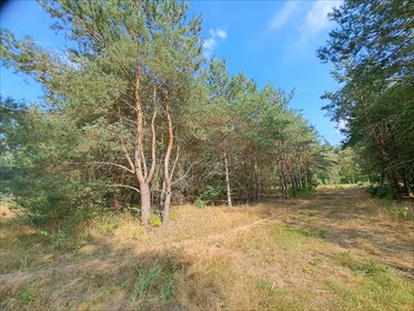 Działka 1298 m² w Stęszewku, media, spokojne tereny - polecam! działka Stęszewko, Stęszewko, Wiejska