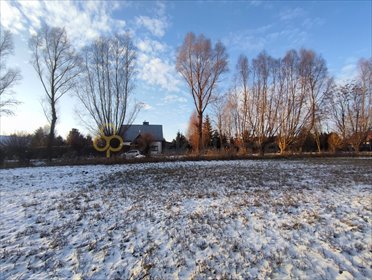 działka na sprzedaż 500m2 działka Jeleńczewo