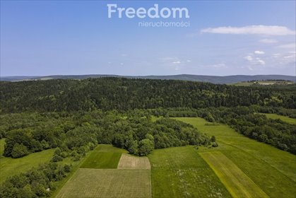 działka na sprzedaż 18004m2 działka Krzywe