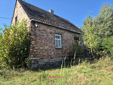 Polecam dom 65 m² na siedlisku 1,9 ha w Chorzewie dom Chorzew