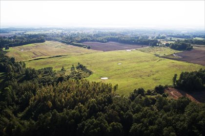 Działka budowlana na sprzedaż Czechowo, Elbląg 86 185m2 Foto 4