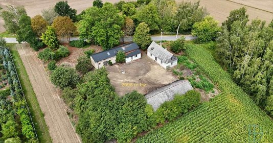 Dom 120 m² z potencjałem, zielona działka - polecam! dom Krośniewice