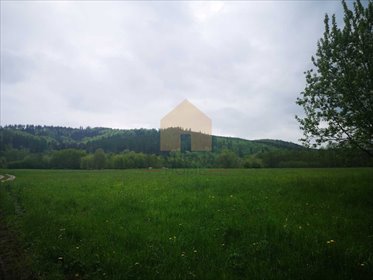 Na sprzedaż działka 3166 m² z widokiem na góry w Szklarce działka Szklarka