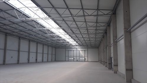 lokal użytkowy na wynajem 2200m2 lokal użytkowy Jędrzejów