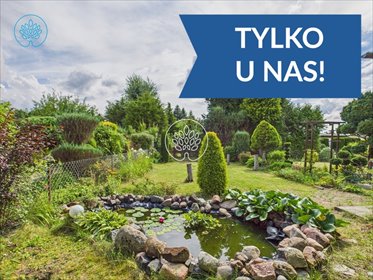 działka na sprzedaż 300m2 działka Jagodowo