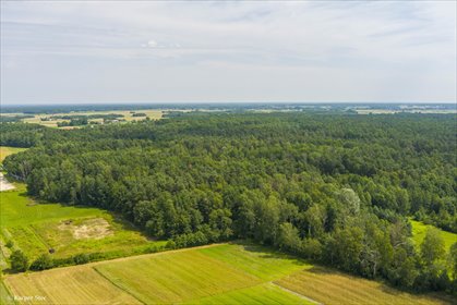 działka na sprzedaż 5500m2 działka Smyków