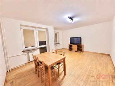 mieszkanie na wynajem 55m2 mieszkanie Kielce