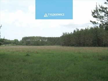 Działka siedliskowa na sprzedaż Studzienice, Prądzonka 34 000m2 Foto 3