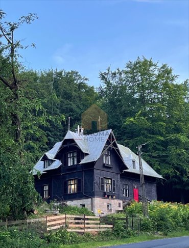 Na sprzedaż urokliwy pensjonat z historią, 8 pokoi i ogrodem dom Kamionki