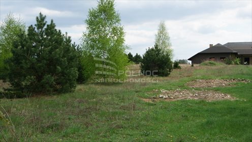 Dom na sprzedaż Stużno-Kolonia 335m2 Foto 4