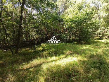 działka na sprzedaż 3012m2 działka Ostrowina