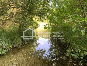 Działka rekreacyjna na sprzedaż Kamienicki Młyn 48 771m2 Foto 4