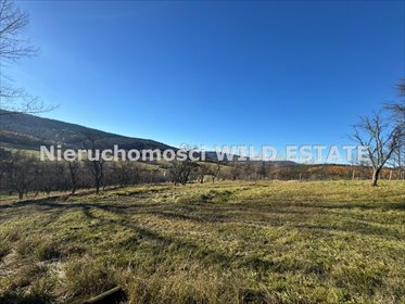 działka na sprzedaż 2908m2 działka Baligród, Stężnica