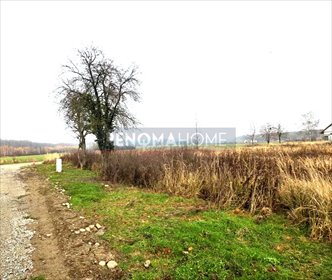 działka na sprzedaż 1300m2 działka Bukowice