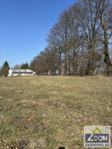 działka na sprzedaż 2878m2 działka Nasutów, Aleja Lipowa, Aleja Lipowa