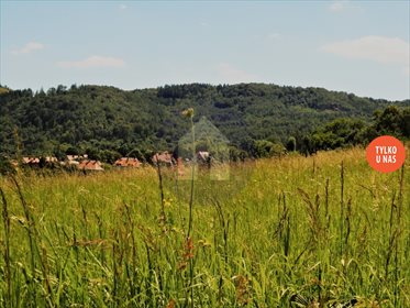 działka na sprzedaż 23362m2 działka Wałbrzych, Podgórze