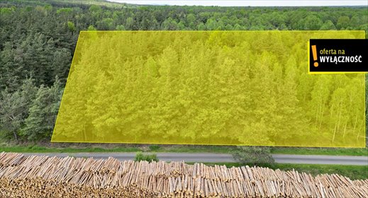 Działka leśna 2030 m² w Świdnie – idealna na rekreację działka Świdno, Porąbki